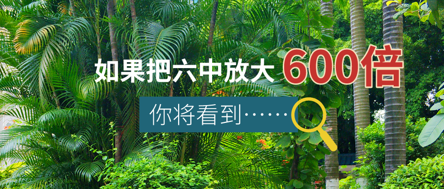 10ae84e6303a4d718c1852aa91495c26.png